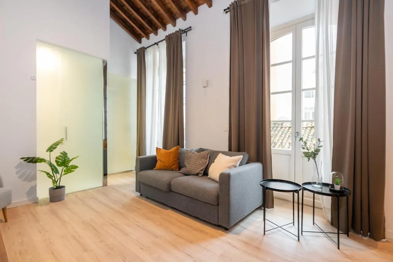 Apartamentos Malaga Centro El Conde By Renthas Spanje